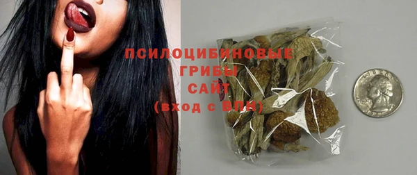 марки nbome Ельня