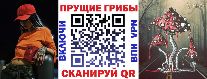 Псилоцибиновые грибы MAGIC MUSHROOMS  Купить где  Нефтекумск 